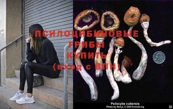 прущие крисы Арсеньев