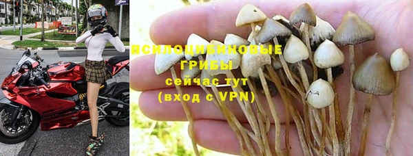 прущие крисы Арсеньев