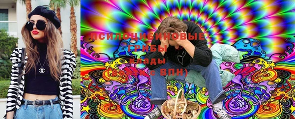сатива Аркадак