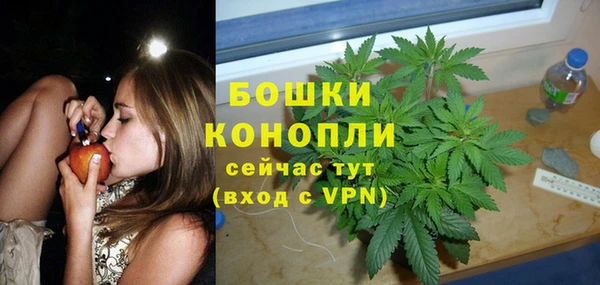 сатива Аркадак